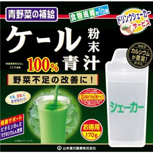 ケール粉末100%青汁 (シェーカー付) 170g