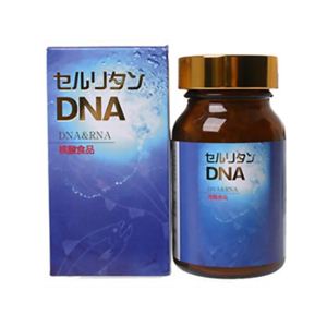 セルリタン DNA