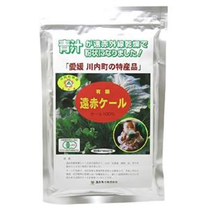 有機遠赤ケール 100g