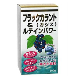 ユウキ製薬 ブラックカラント&ルテインパワー 300粒