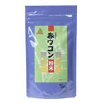 春ウコン 粉末 100g