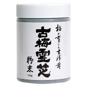 古梅霊芝 粉末 100g