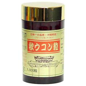 秋ウコン粒 100g 【2セット】