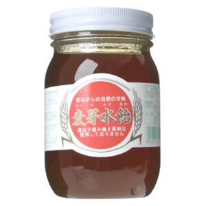 アラバン 麦芽水飴 500g 【3セット】