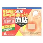 温熱 直貼 5枚 【6セット】