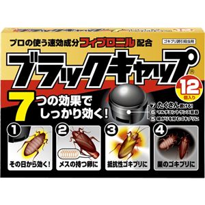 ブラックキャップ 12個入り 【4セット】