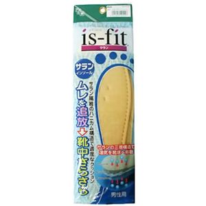 is-fit サランインソール男性用 24.5 【4セット】