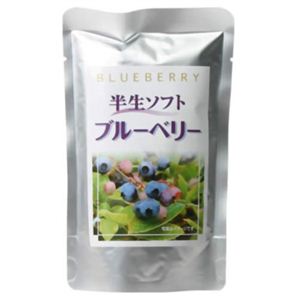 半生ソフトブルーベリー 80g 【5セット】