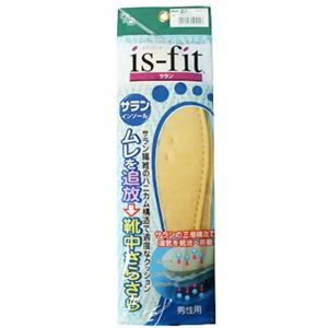 is-fit サランインソール男性用 27.0 【4セット】