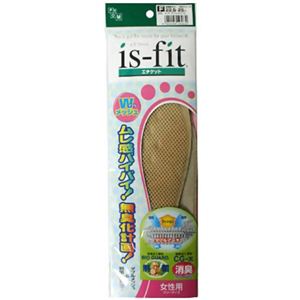 is-fit ダブルメッシュ女性用 フリー 【3セット】