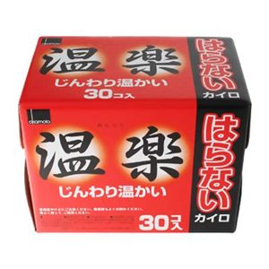 はらないカイロ 温楽 30個入 【6セット】