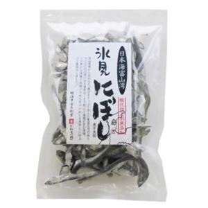 氷見にぼし 100g 【5セット】