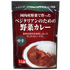 ベジタリアンのための野菜カレー 200g 【8セット】