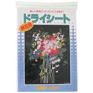 ドライナウ 押し花用ドライシート 5枚入 【2セット】