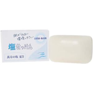 塩せっけん 100g 【5セット】