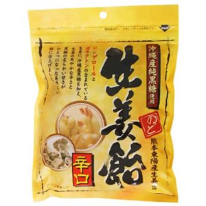 岩田 生姜飴 120g 【8セット】