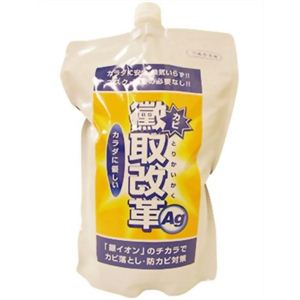 黴取改革Ag 詰替 1000ml 【2セット】