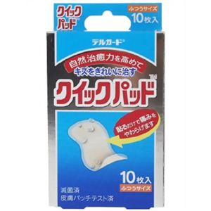 デルガード クイックパッド ふつうサイズ 10枚入 【3セット】