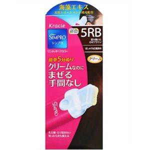 シンプロ ワンタッチヘアカラー 5RB(落ち着いたロゼブラウン) 【3セット】