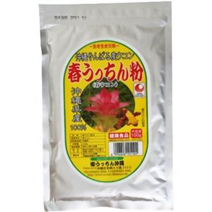 生き生き元気 春うっちん粉 沖縄やんばる産ウコン 100g 【2セット】