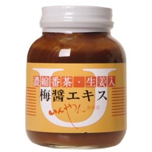 いんやん倶楽部 生姜入梅醤番茶 260g 【2セット】