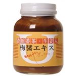 いんやん倶楽部 生姜入梅醤番茶 260g 【2セット】