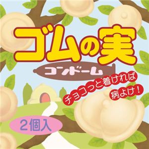 ゴムの実 【4セット】