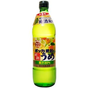 ポッカ 焼酎用紀州うめ 600ml 【5セット】