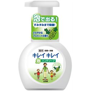 キレイキレイ 薬用泡ハンドソープ マスカットの香り 250ml 【6セット】