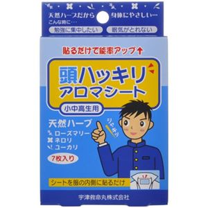 頭ハッキリアロマシート 7枚入 【3セット】