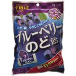 フィーブル ブルーベリーのど飴 65g 【12セット】