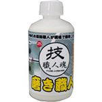 技職人魂 磨き職人 キッチンシンク・浴室鏡クリーナー 250ml 【3セット】