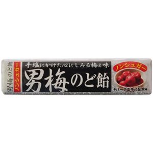 男梅のど飴スティック 10粒 【23セット】