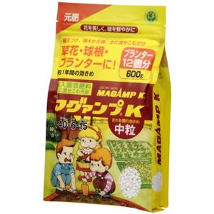 マグァンプK 中粒 600g 【2セット】