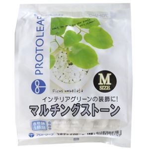 プロトリーフ マルチングストーン M 1kg 【4セット】