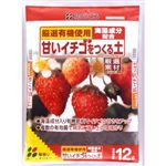 花ごころ 甘いイチゴをつくる土 12L 【2セット】