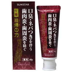 薬用ハミガキ 生薬当帰の力 85g 【2セット】