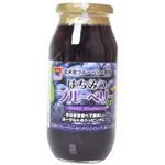 サクラ印はちみつ はちみつブルーベリー 650g 【3セット】