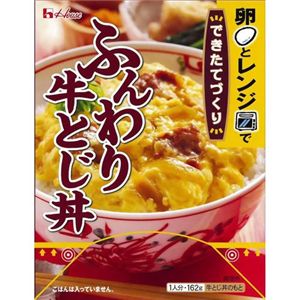 できたてづくり ふんわり牛とじ丼 162g 【16セット】