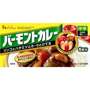 バーモントカレー(中辛)119g 【21セット】