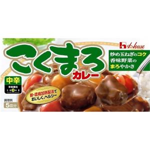 こくまろカレー 中辛 95g 【25セット】