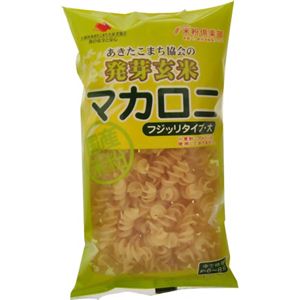 発芽玄米 マカロニ フジッリタイプ 大 150g 【30セット】 【パスタ】