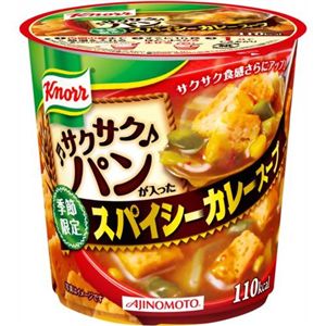 クノール サクサクパンが入ったスパイシーカレースープ 【14セット】