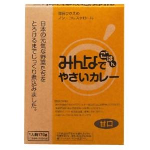 みんなでごはん やさいカレー 甘口 170g 【6セット】