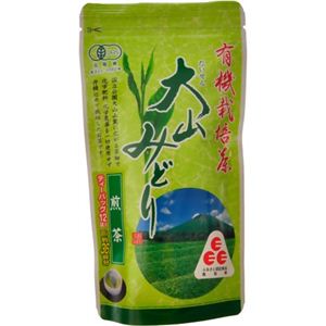 有機栽培茶 大山みどり 煎茶ティーパック 3.5g*12P 【4セット】