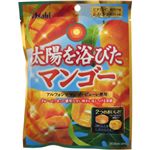 太陽を浴びたマンゴー 85g 【13セット】