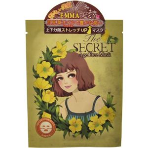 シークレットマスク エイジフリー 1枚入り 【5セット】