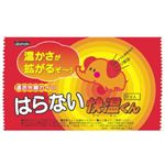 はらないタイプの快温くん 10コ入 【8セット】