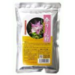 純沖縄産 春うこん粉末 100g 【2セット】