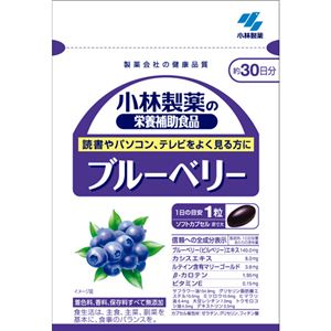 小林製薬の栄養補助食品 ブルーベリー 約30日分 【4セット】